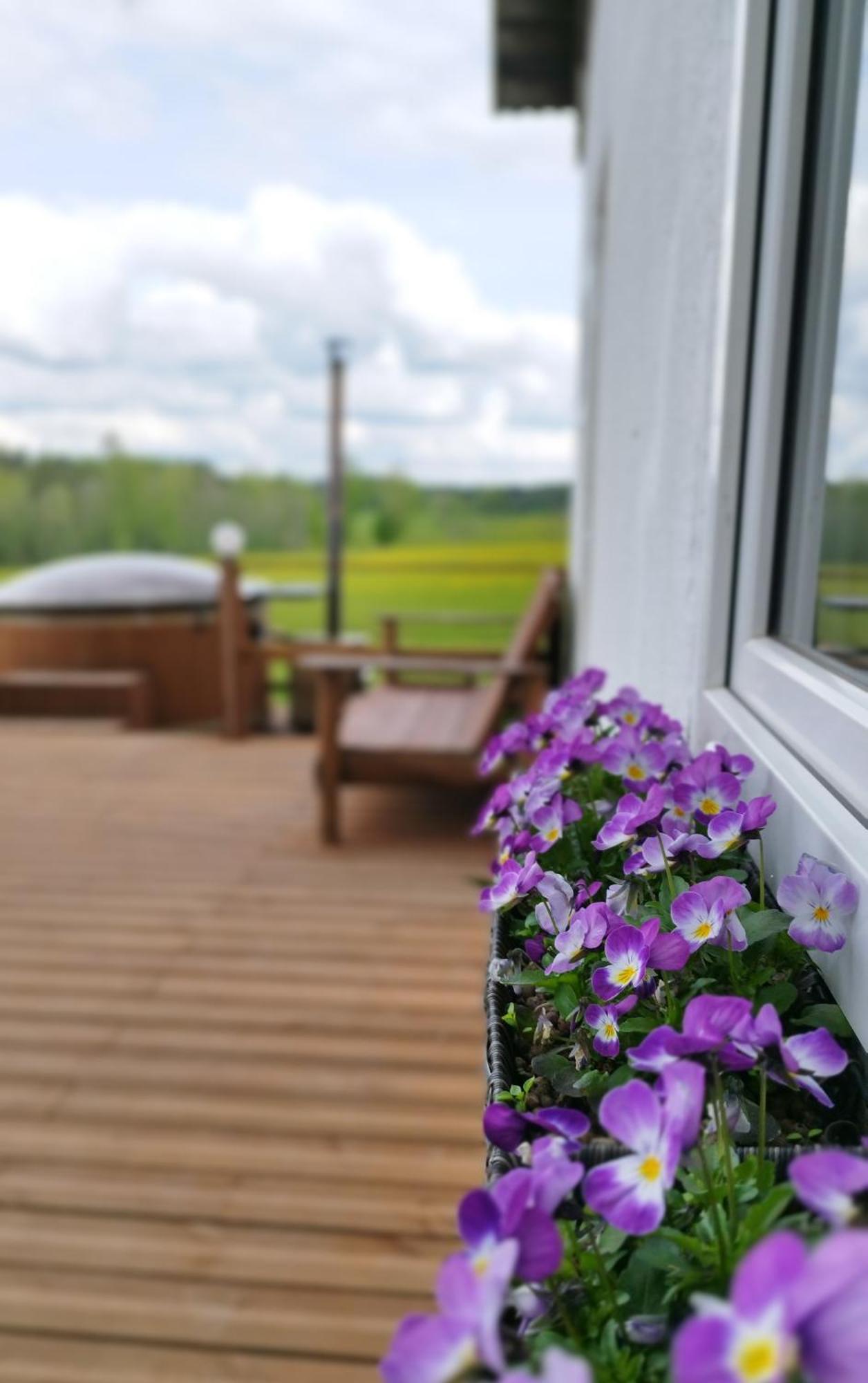 Guesthouse, Sauna & Jacuzzi In Gauja Valley - Kakukalns Straupe Exterior photo